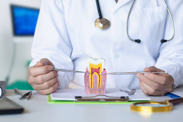 Best 24-Hour Emergency Dental Care in Divernon, IL